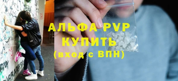 стафф Михайловск