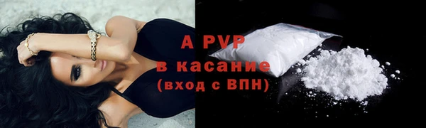 бошки Бородино