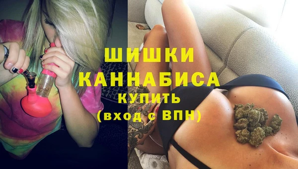 сатива Богородск