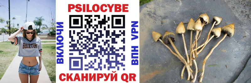 Псилоцибиновые грибы прущие грибы  Горно-Алтайск 