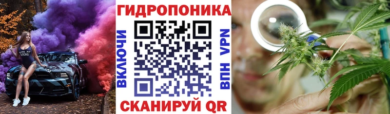 купить наркоту  Горно-Алтайск  Бошки Шишки марихуана 